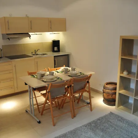 Apartament Cracow شقة كراكوفيا